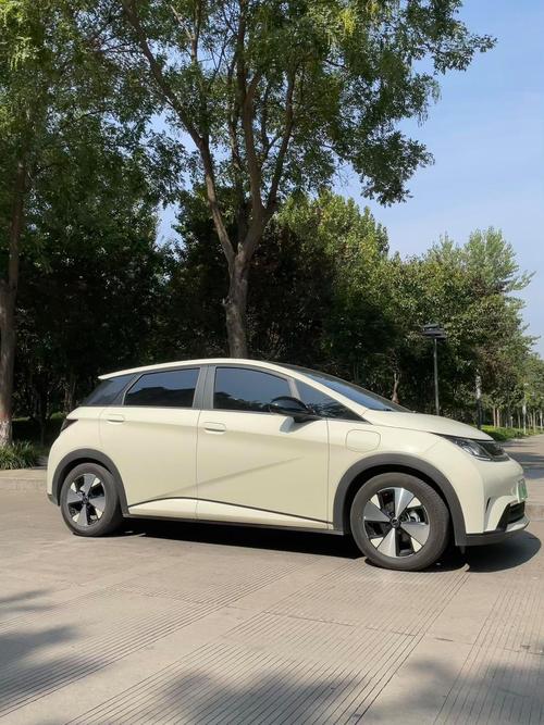 比亚迪新能源／比亚迪新能源最便宜的车型