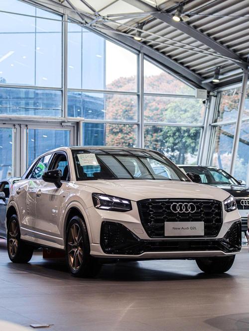 奥迪2手车报价及图片/奥迪2手车报价及图片及价格