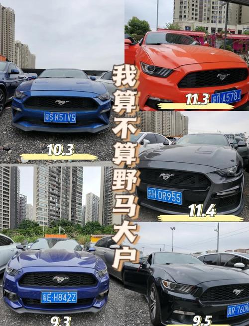 野马最便宜的车多少钱／野马价格最便宜的一款