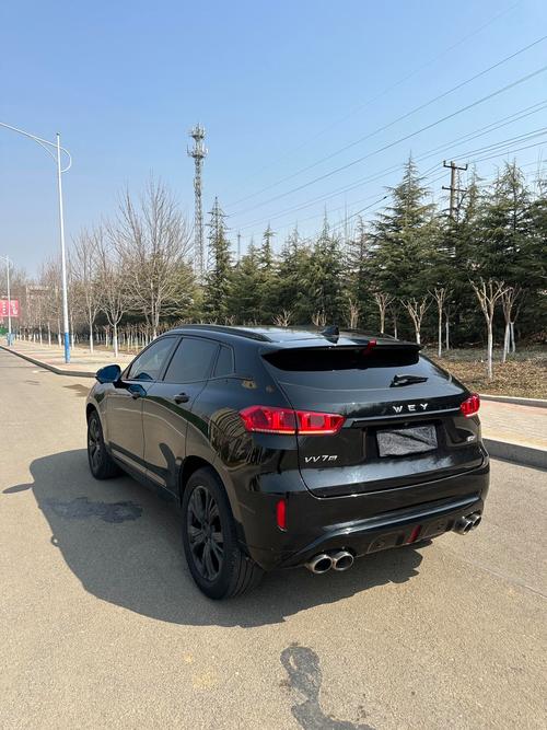 长城魏派vv7s 长城魏派VV7S