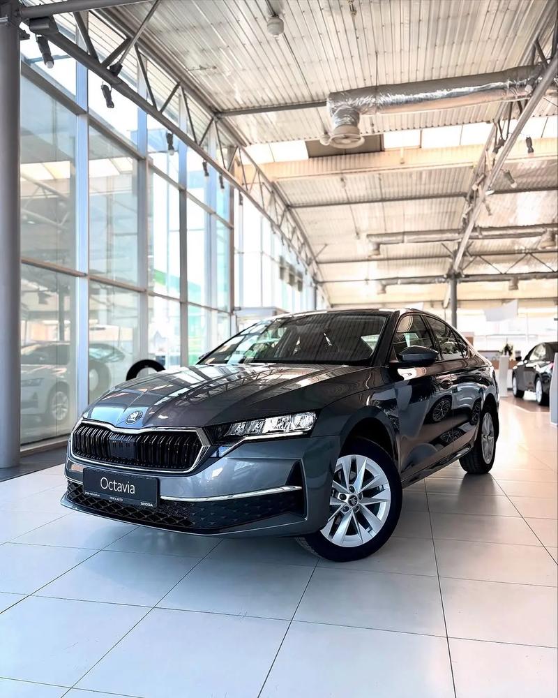 2021款斯柯达明锐价格(2021款斯柯达明锐价格及图片)