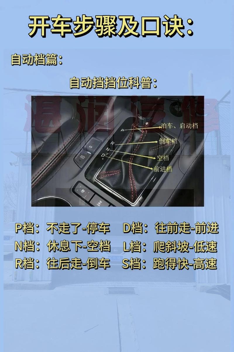 开车的步骤新手自动挡 开车基本操作步骤自动挡
