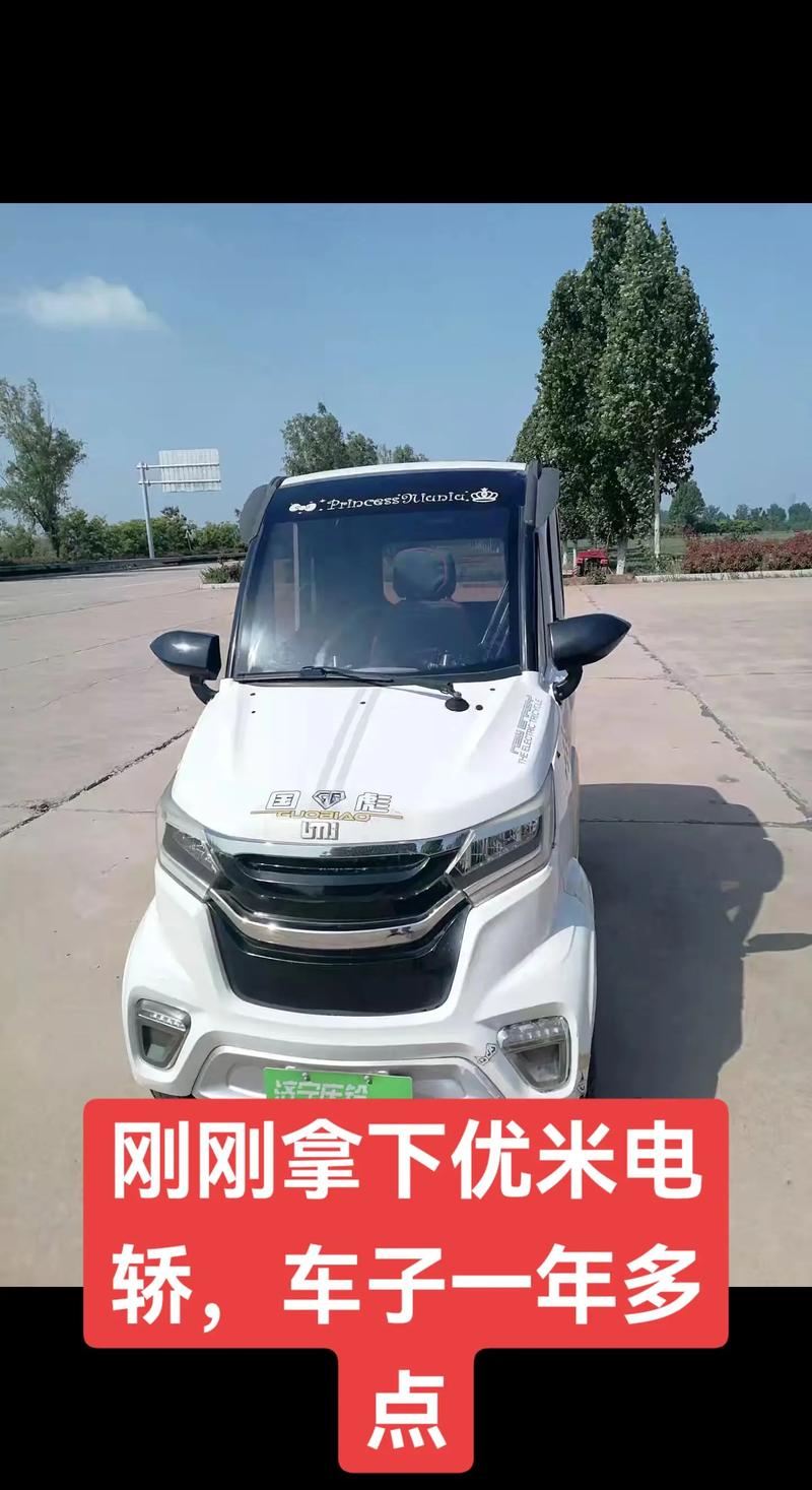 【优光新能源电动车,优光电动车价格及图片】